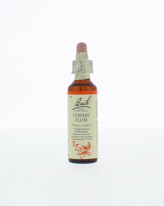 Cherry Plumkerspruim Bach