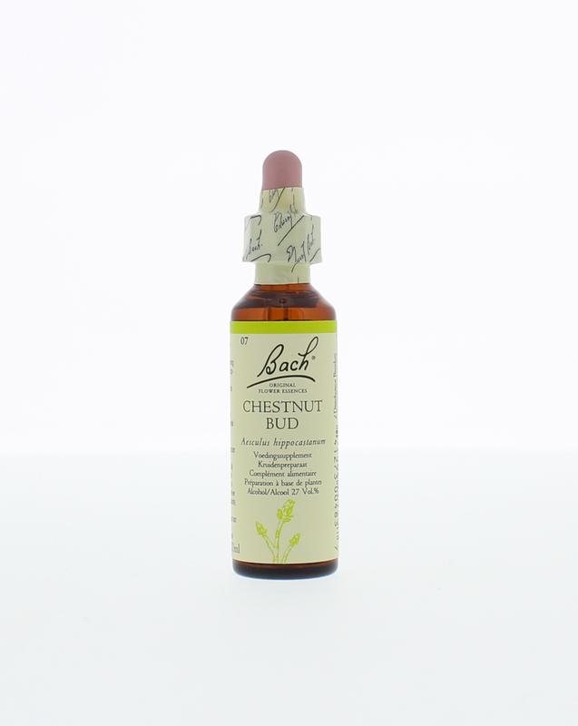 Chestnut Budkastanjeknop Bach