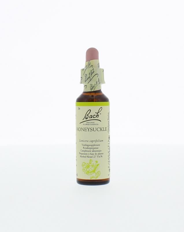 Honeysucklekamperfoelie Bach