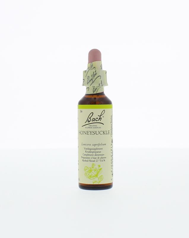 Honeysucklekamperfoelie Bach
