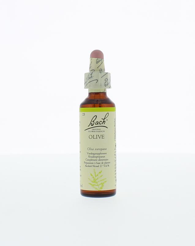 Oliveolijf Bach