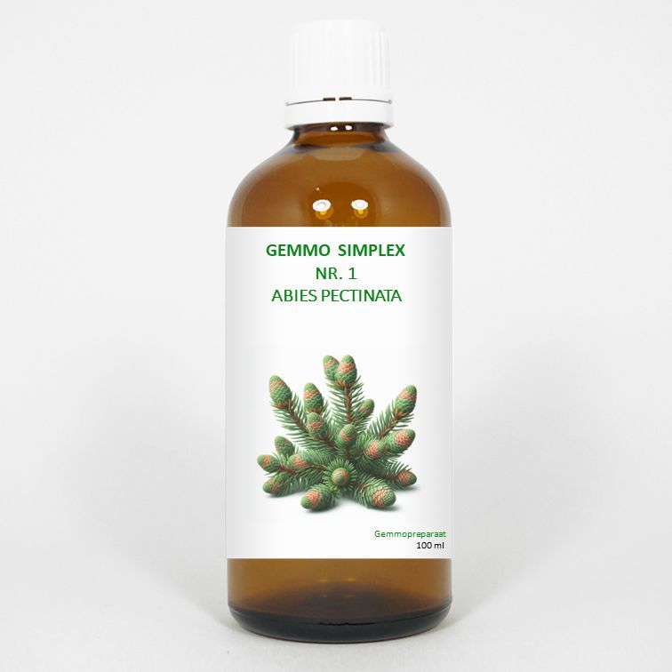 Balancepharma Gemmo Simplex 1 Abies Pectinata