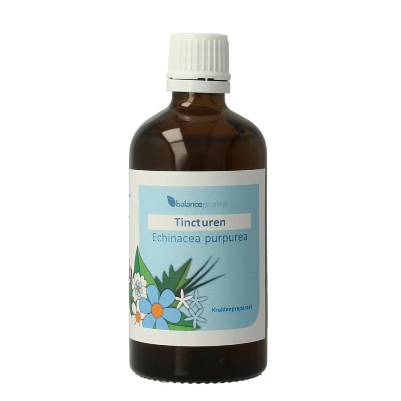 Balancepharma Echinacea Purpurea Tincturen