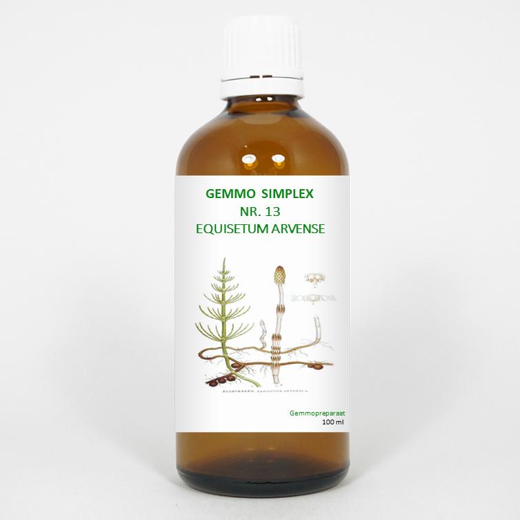 Balancepharma Gemmo Simplex 13 Equisetum Arvense