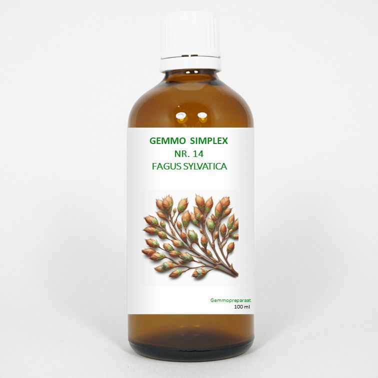 Balancepharma Gemmo Simplex 14 Fagus Sylvatica