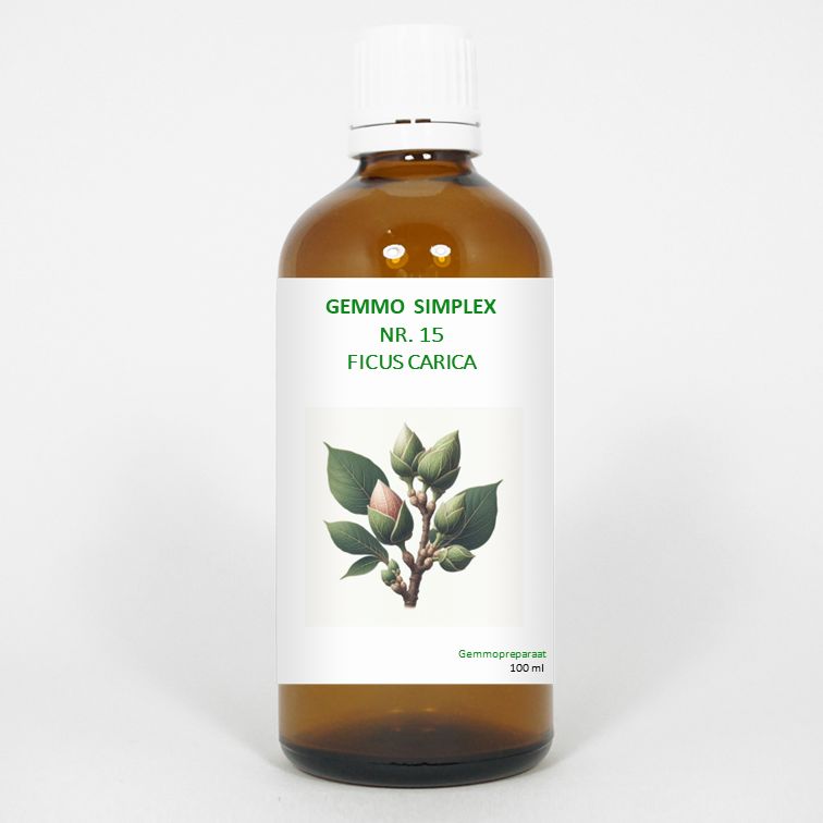 Balancepharma Gemmo Simplex 15 Ficus Carica