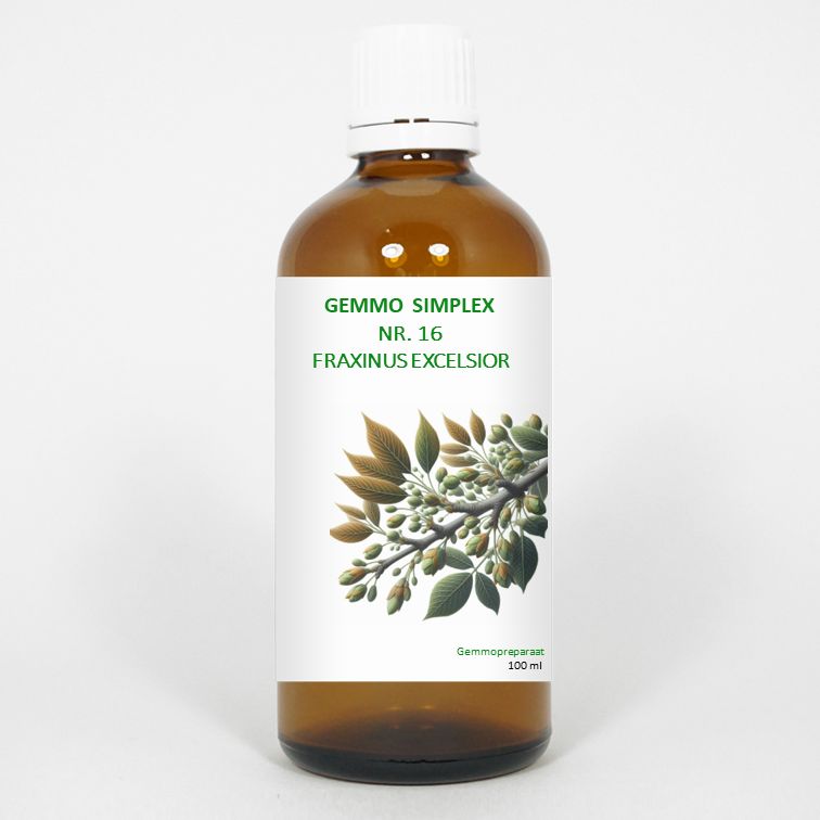 Balancepharma Gemmo Simplex 16 Fraxinus Excelsior