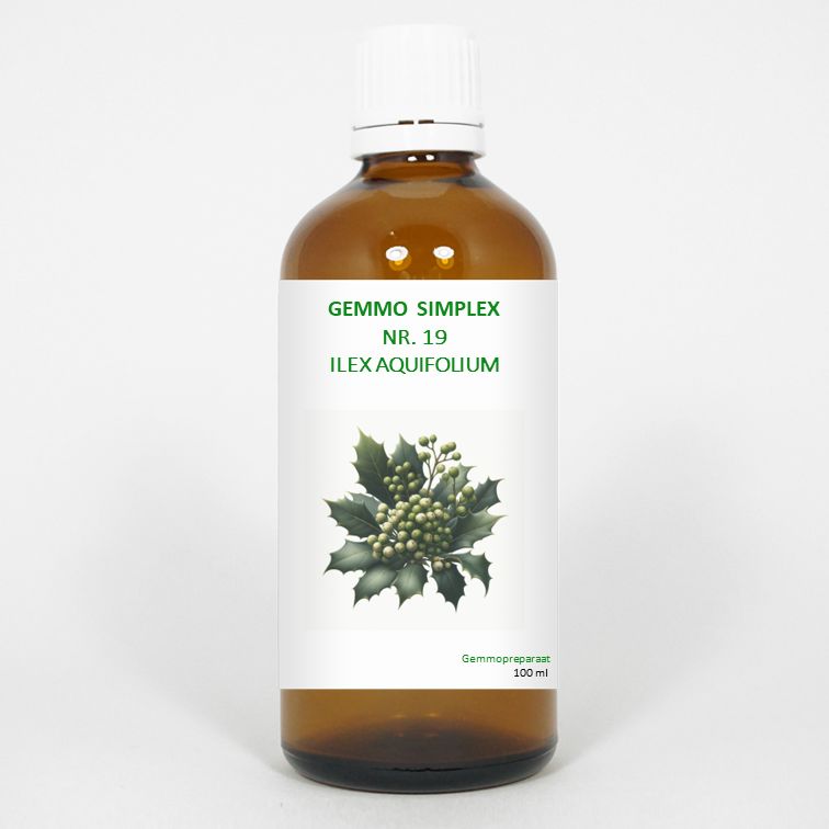 Balancepharma Gemmo Simplex 19 Ilex Aquifolium