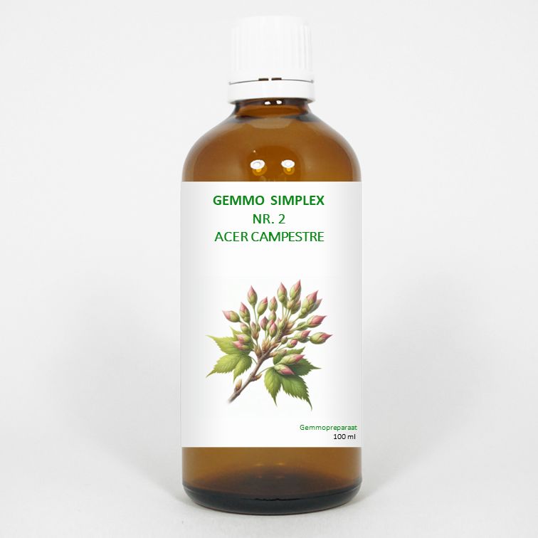 Balancepharma Gemmo Simplex 2 Acer Campestre