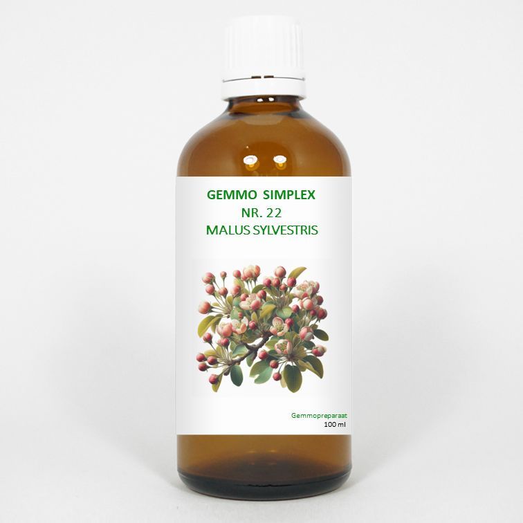 Balancepharma Gemmo Simplex 22 Malus Sylvestris