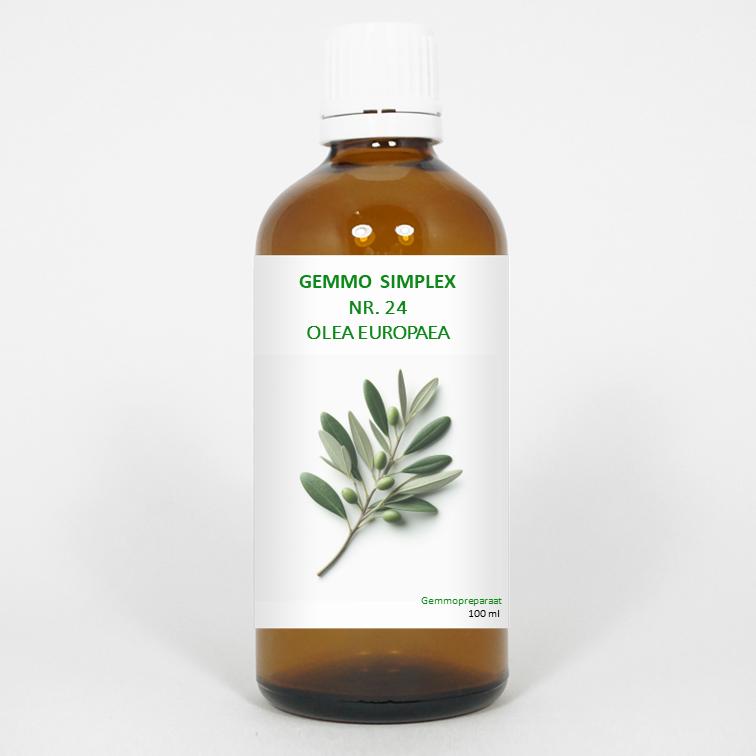 Balancepharma Gemmo Simplex 24 Olea Europaea