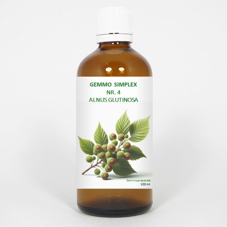 Balancepharma Gemmo Simplex 4 Alnus Glutinosa
