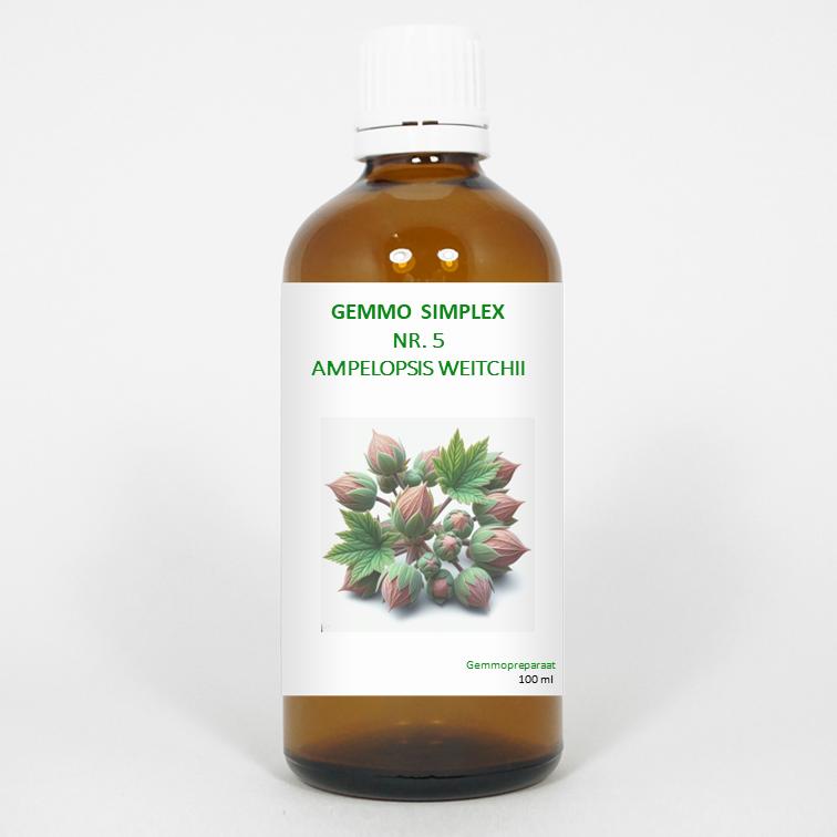 Balancepharma Gemmo Simplex 5 Ampelopsis Weitchii