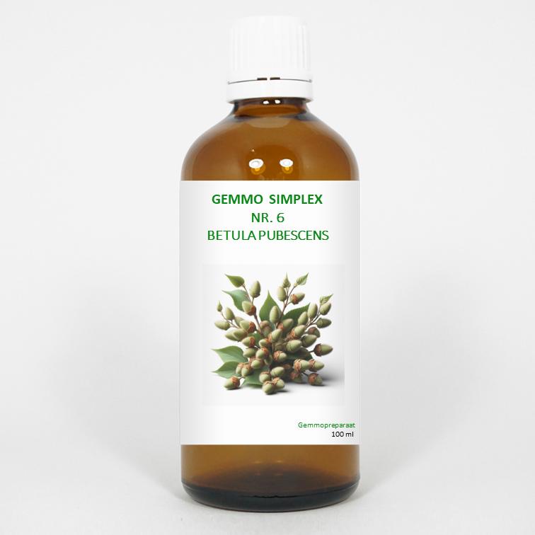 Balancepharma Gemmo Simplex 6 Betula Pubescens