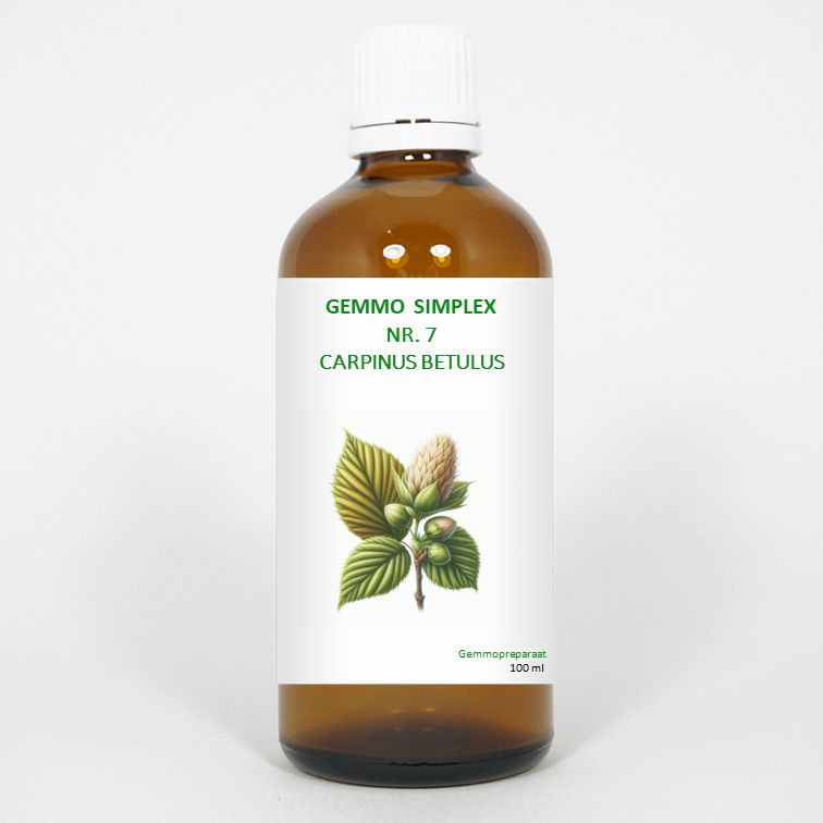 Balancepharma Gemmo Simplex 7 Carpinus Betulus
