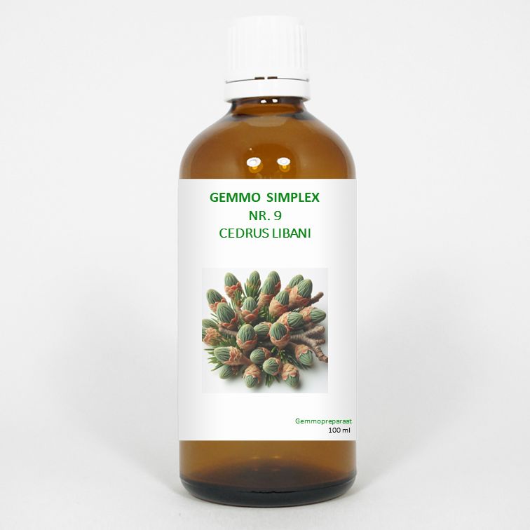 Balancepharma Gemmo Simplex 9 Cedrus Libani