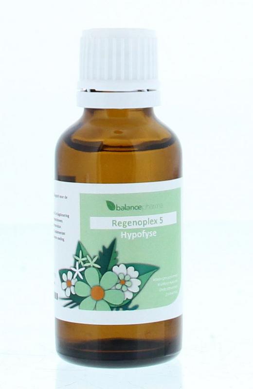 Balancepharma Rgp005 Hypofyse Regenoplex
