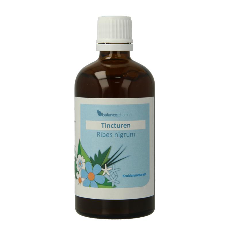 Balancepharma Ribes Nigrum Tincturen