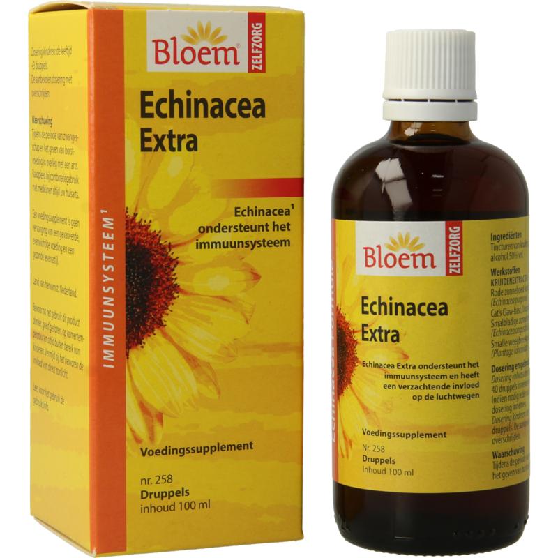 Bloem Echinacea