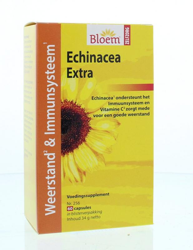 Bloem Echinacea Extra