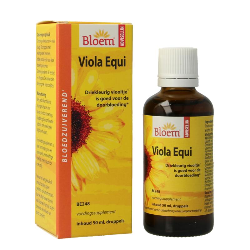 Bloem Viola Equi