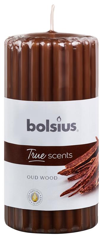 Bolsius True Scents Stompkaars Geur 12058 Old Wood