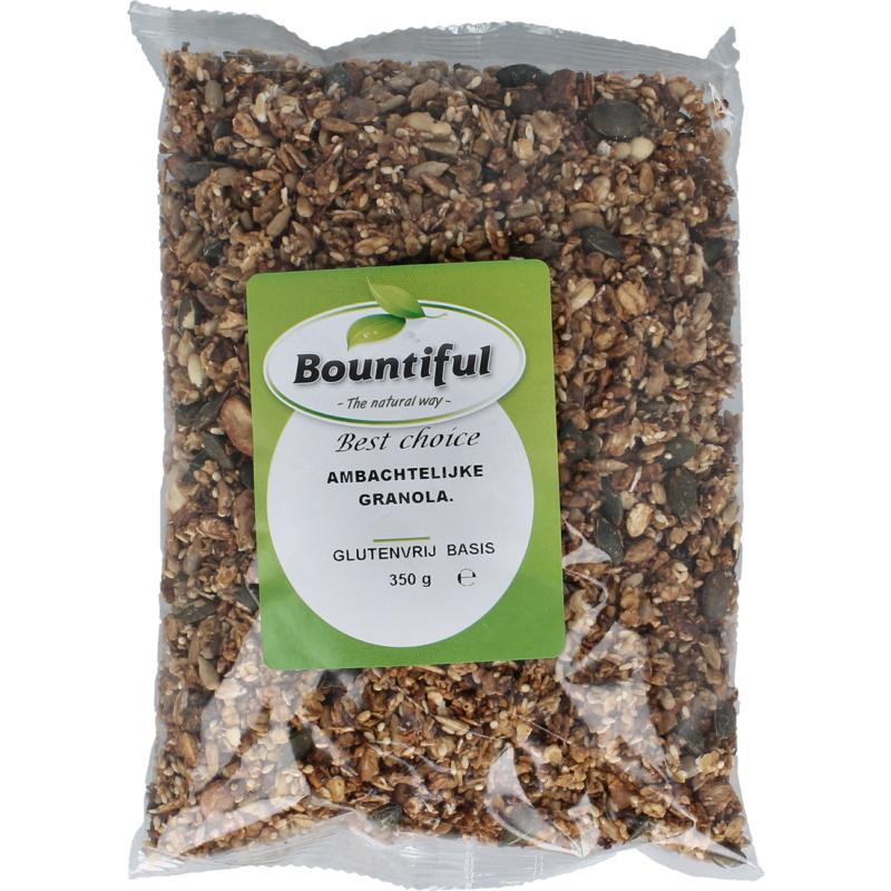Bountiful Ambachtelijke Granola Glutenvrij Bio