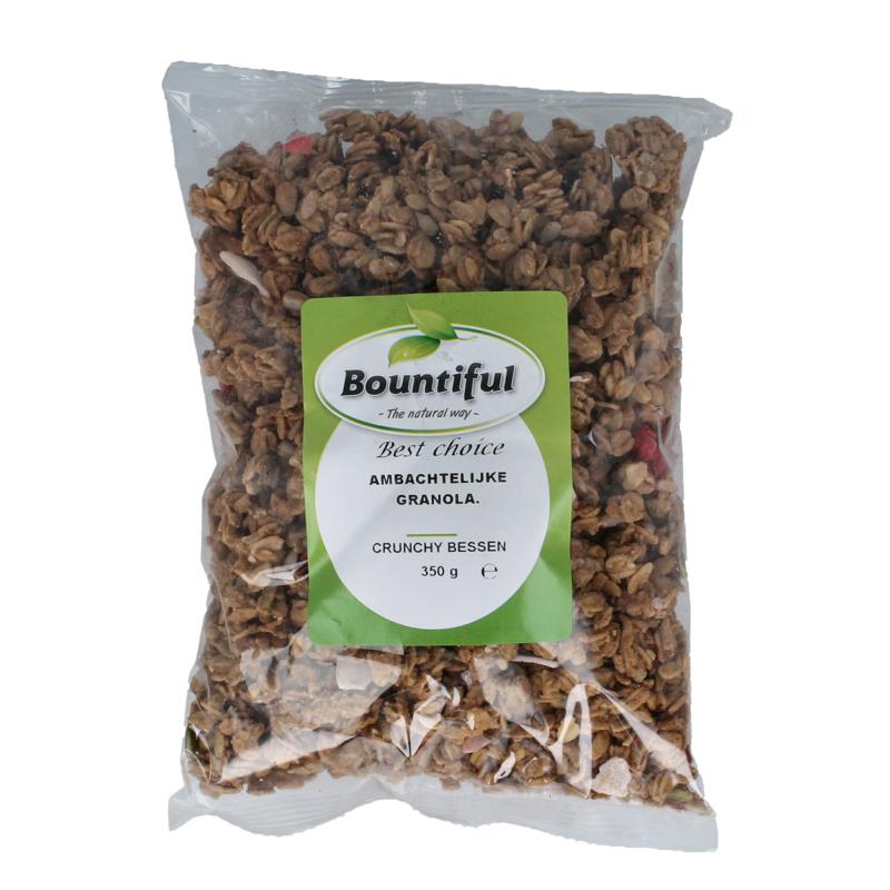 Bountiful Ambachtelijke Granola Krunchy Bessen