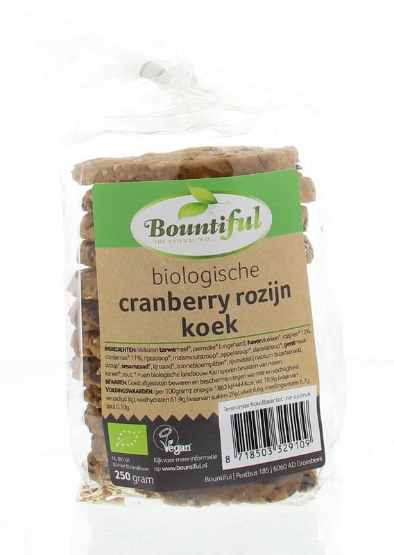 Bountiful Cranberry Rozijnkoek Bio