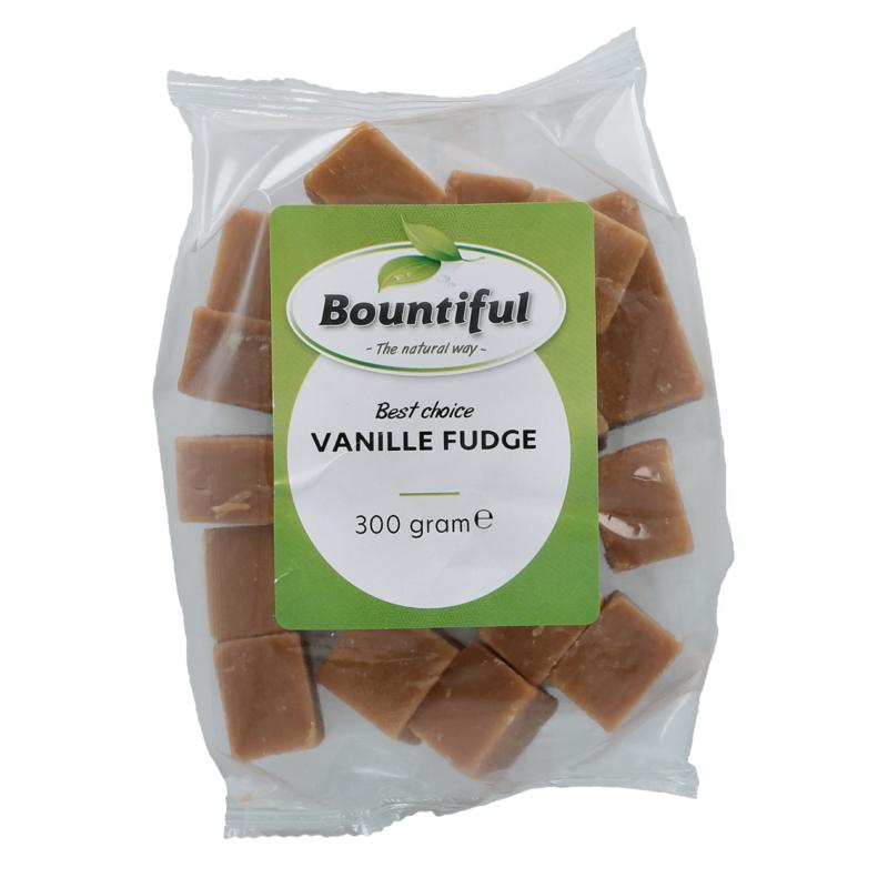 Bountiful Fudge Vanille