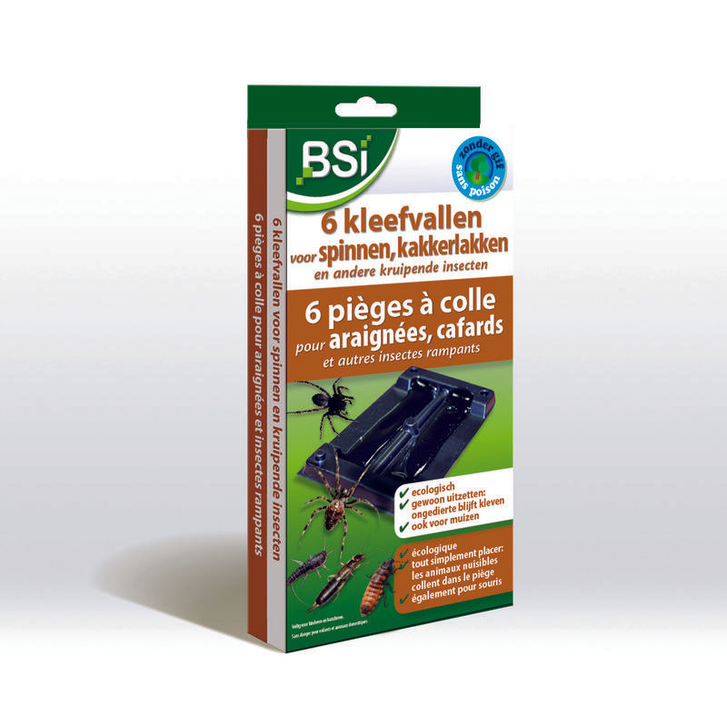 Bsi Kleefvallen Voor Spinnen