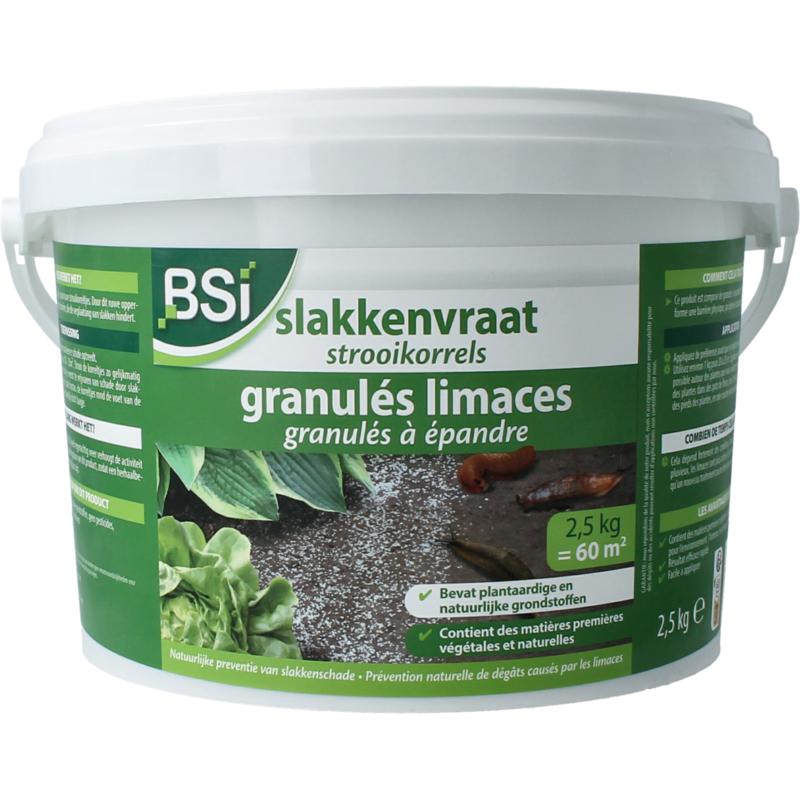 Bsi Slakkenvraat