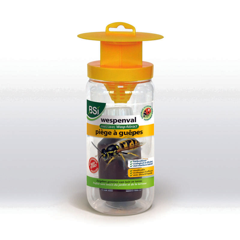 Bsi Wespenval Met Lokstof Wasp Attract