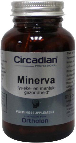 Circadian Minerva