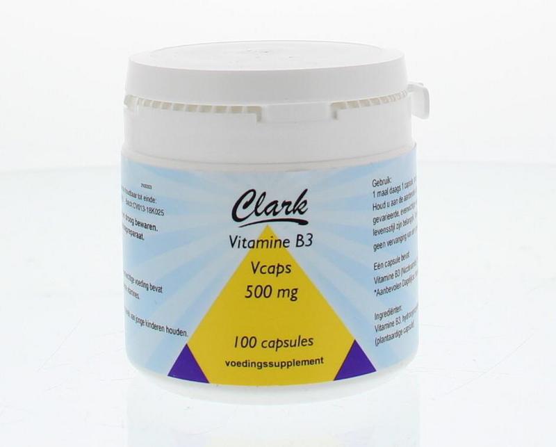 Vitamine B3 500 Mg Holisan