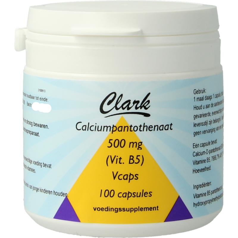 Vitamine B5 500 Mg Holisan