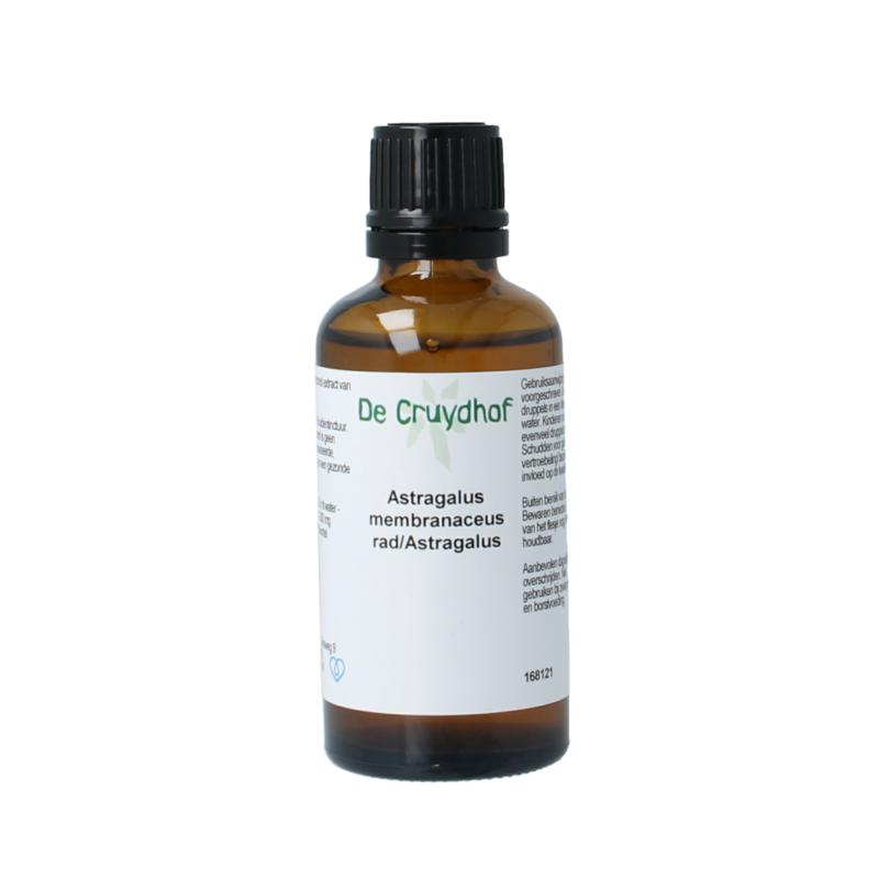 Cruydhof Astragalus Membranaceus Radix Tinctuur