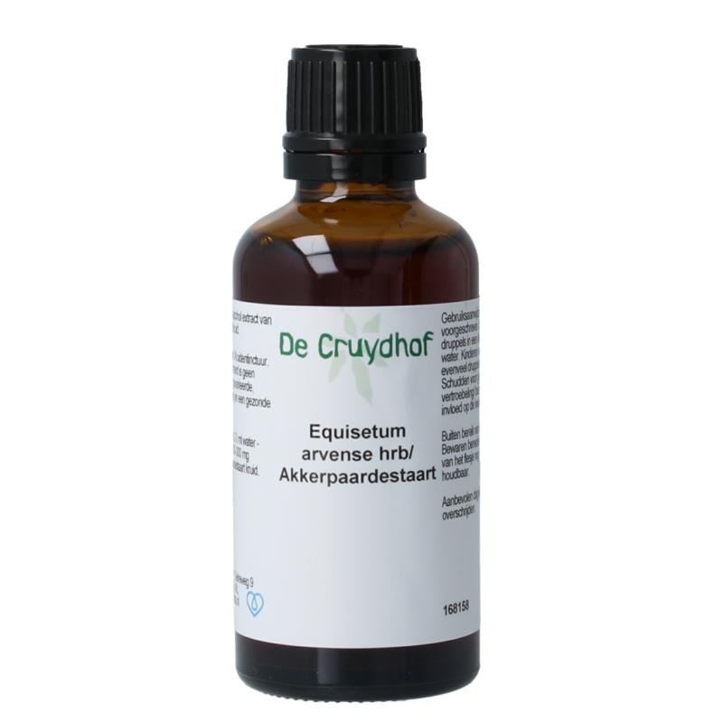 Cruydhof Equisetum Arvense  Akkerpaardestaart Tinctuur