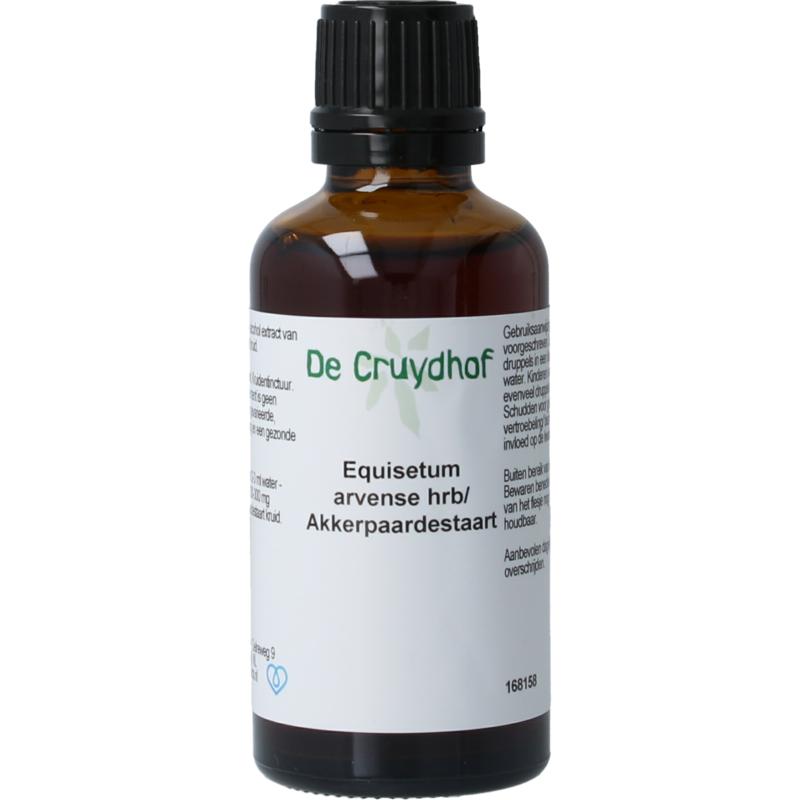 Cruydhof Equisetum Arvense  Akkerpaardestaart Tinctuur