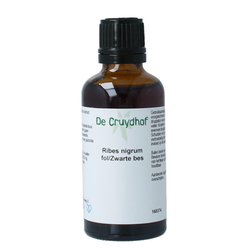 Cruydhof Ribus Nigrum & Zwarte Bes