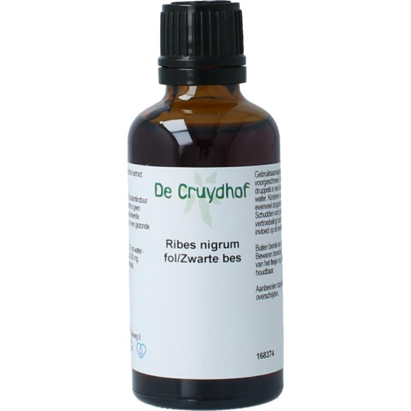 Cruydhof Ribus Nigrum & Zwarte Bes