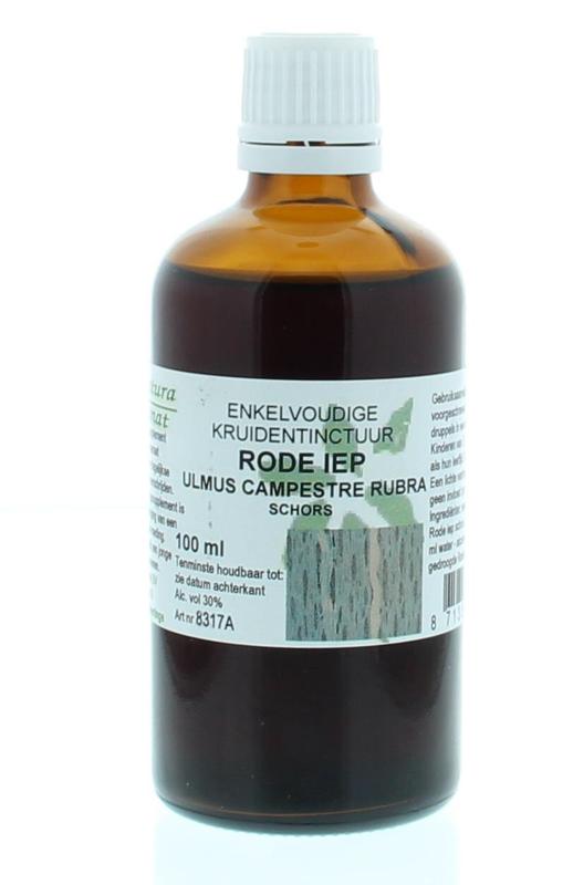 Cruydhof Ulmus Campestre Rubra  Rode Iep Tinctuur