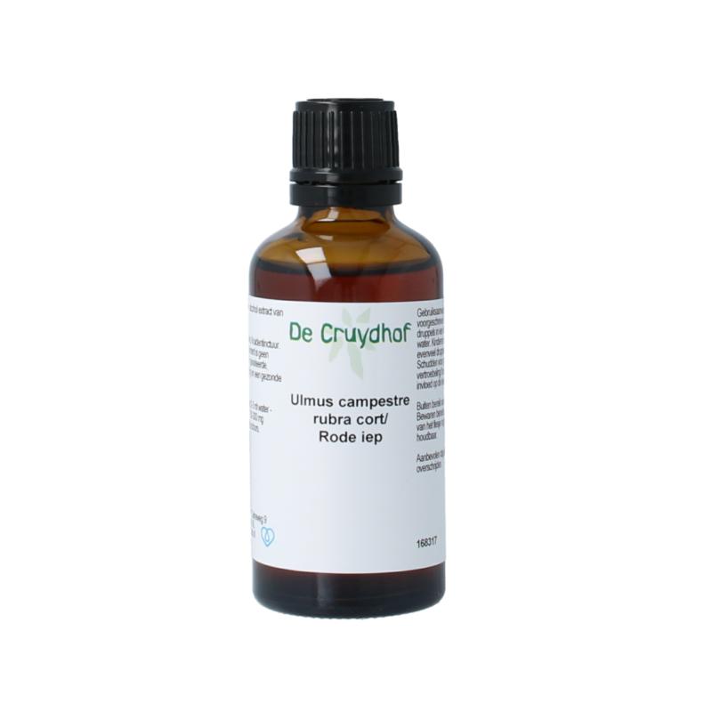 Cruydhof Ulmus Campestre Rubra  Rode Iep Tinctuur