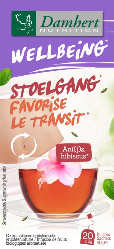 Damhert Tea Time Stoelgangthee