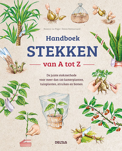 Deltas Handboek Stekken Van A Tot Z