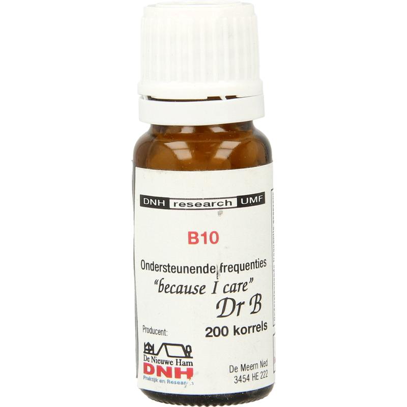 Dnh B10