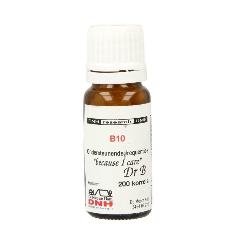 Dnh B10