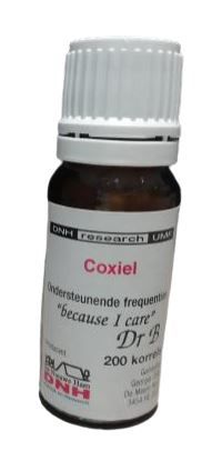 Dnh Coxiel