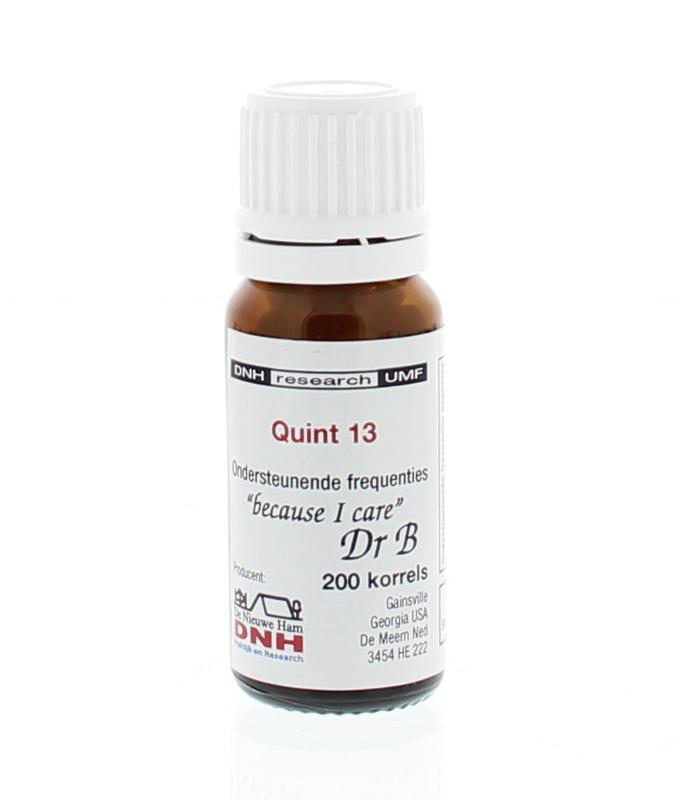 Dnh Quint 13 Bmyd