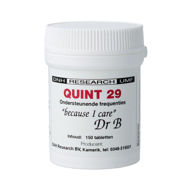 Dnh Quint 29